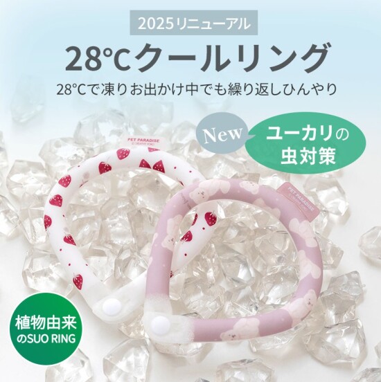 毎年人気☆クールリング入荷しました！
