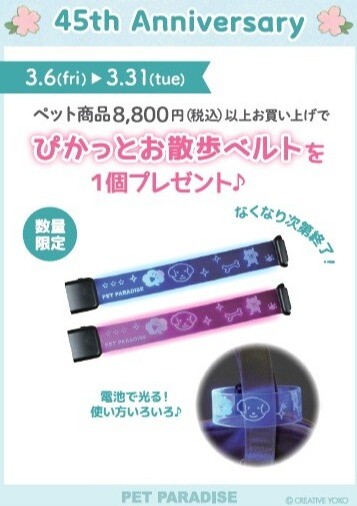 🌸 Happy Anniversary 🌸