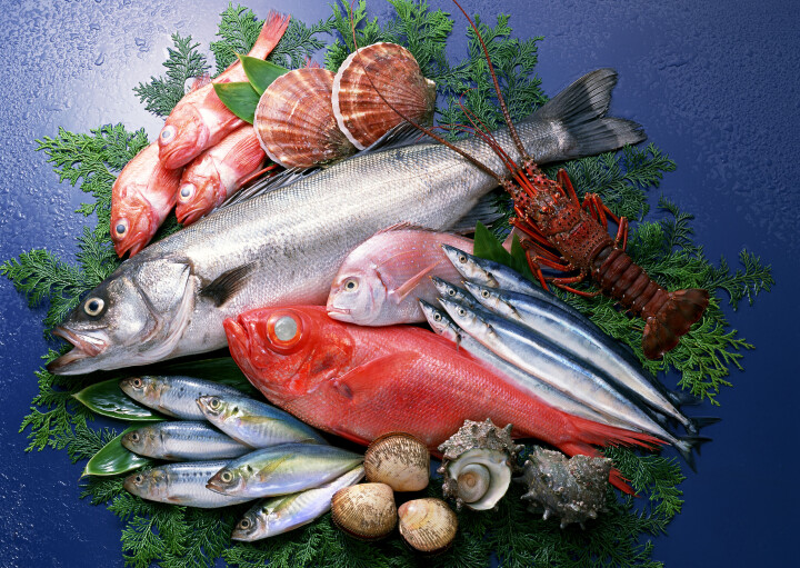 築地中島水産